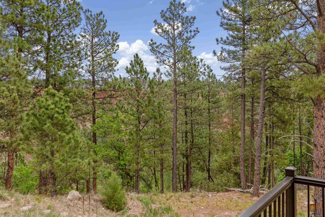 24568 SADDLEBACK DR, Hermosa, SD 57744