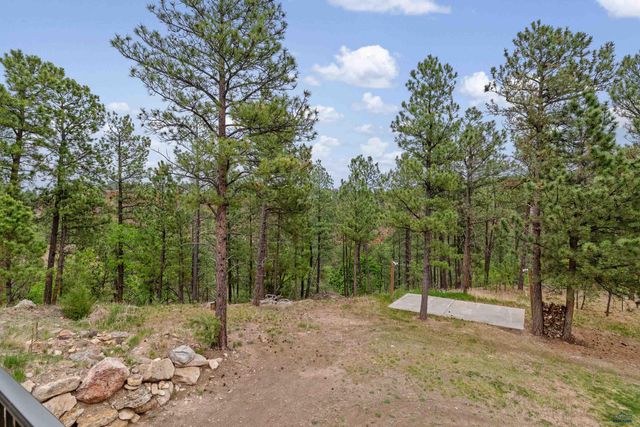 24568 SADDLEBACK DR, Hermosa, SD 57744