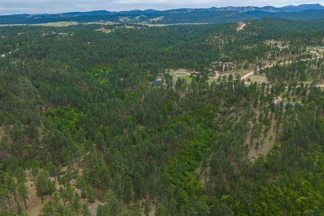 24568 SADDLEBACK DR, Hermosa, SD 57744