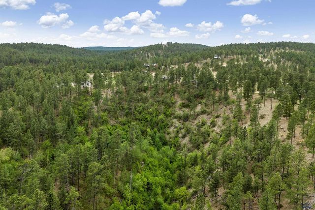 24568 SADDLEBACK DR, Hermosa, SD 57744