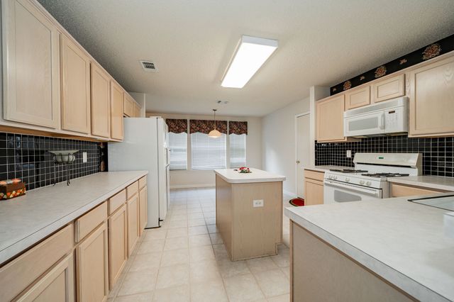 805 Elm Falls Place, Mesquite, TX 75181