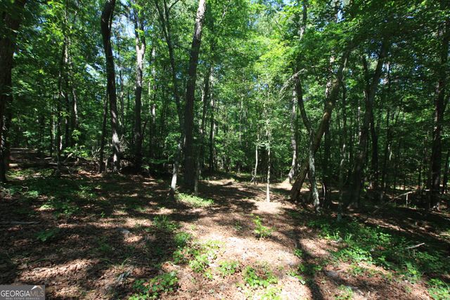 0 McGee Bend Road, Rome, GA 30165