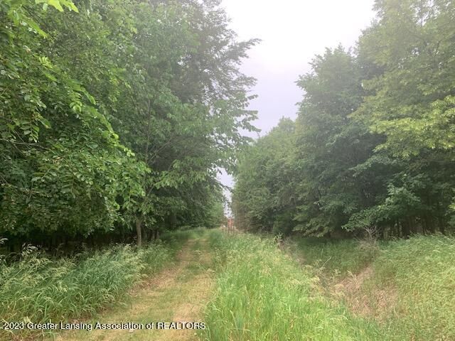 2843 Trillium Creek Way, St. Johns, MI 48879