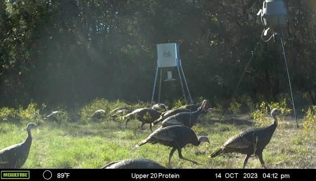 2523 County Road 218, Hico, TX 76457