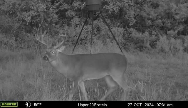 2523 County Road 218, Hico, TX 76457