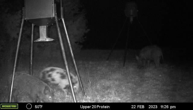 2523 County Road 218, Hico, TX 76457