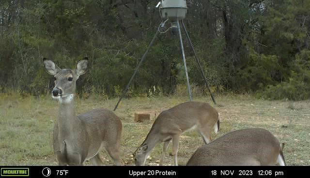 2523 County Road 218, Hico, TX 76457