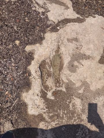 2523 County Road 218, Hico, TX 76457