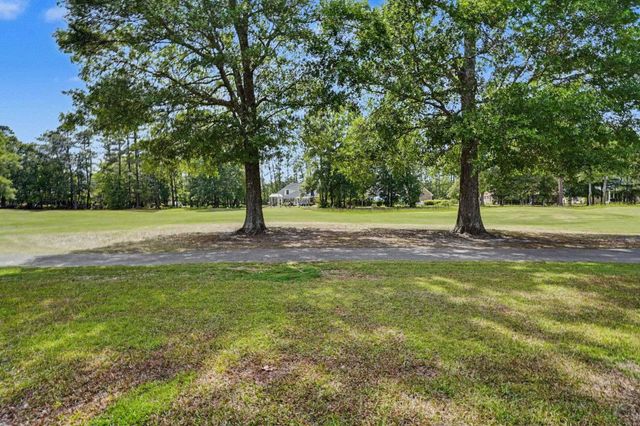 967 Cat Briar Ct., Longs, SC 29568