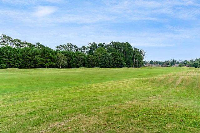 967 Cat Briar Ct., Longs, SC 29568