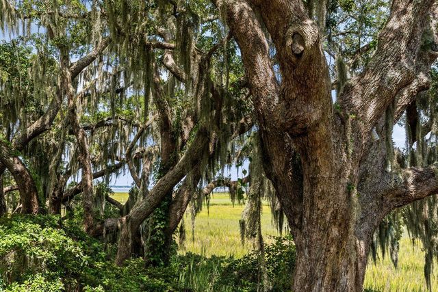 897 Kushiwah Creek Court, Charleston, SC 29412