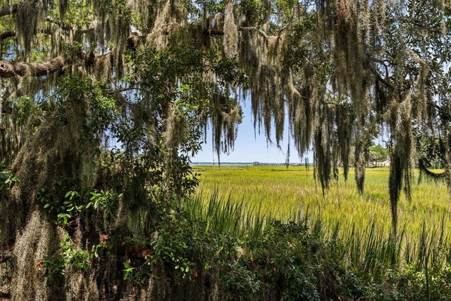 897 Kushiwah Creek Court, Charleston, SC 29412