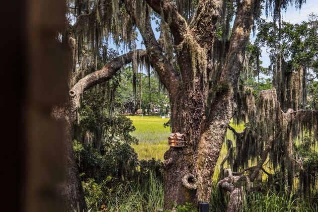 897 Kushiwah Creek Court, Charleston, SC 29412