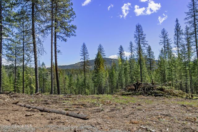 85 Cutlass Dr., Sagle, ID 83860