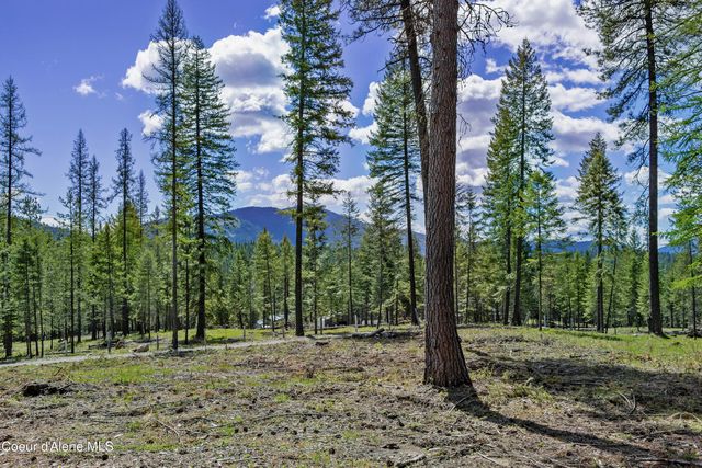 85 Cutlass Dr., Sagle, ID 83860