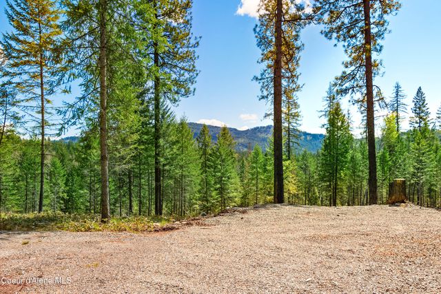 85 Cutlass Dr., Sagle, ID 83860