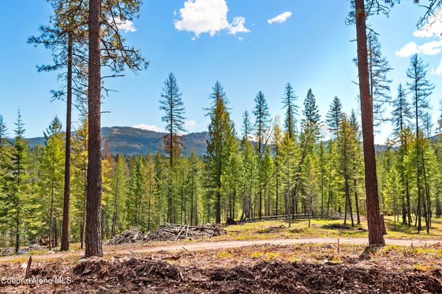 85 Cutlass Dr., Sagle, ID 83860