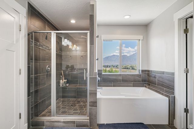 149 E 230 N, Vineyard, UT 84059