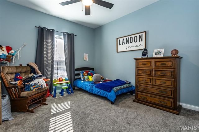 25806 Nellies Ridge, Dow, IL 62022