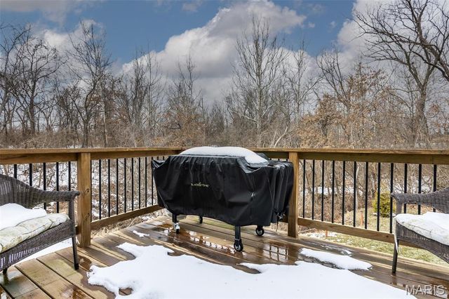 25806 Nellies Ridge, Dow, IL 62022