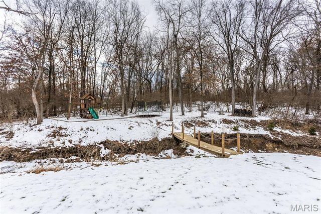 25806 Nellies Ridge, Dow, IL 62022