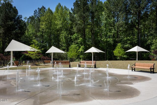 195 Symmetry Loop, Youngsville, NC 27596