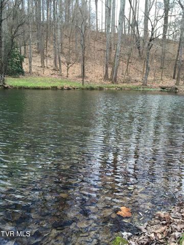 140 Alf Taylor Road, Johnson City, TN 37601