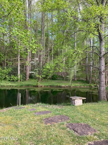 140 Alf Taylor Road, Johnson City, TN 37601