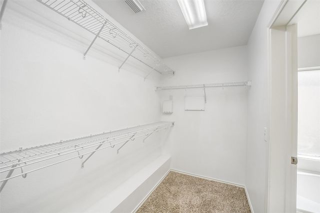 6011 Baldwin Elm Street, Richmond, TX 77407