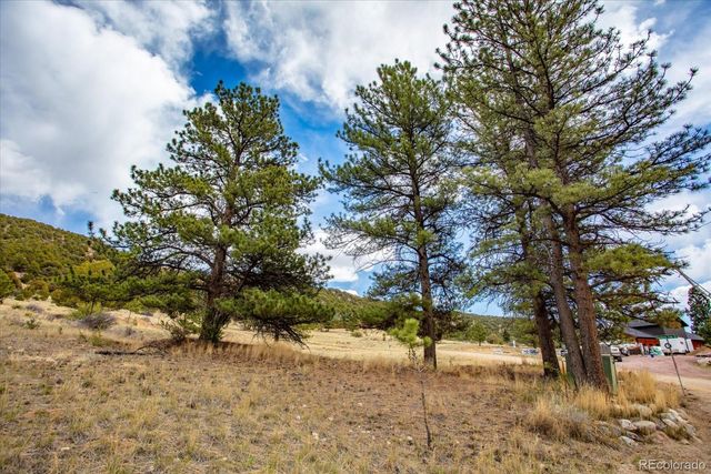 8972 Hanging Tree Drive, Salida, CO 81201