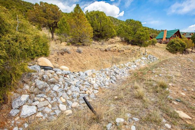 8972 Hanging Tree Drive, Salida, CO 81201