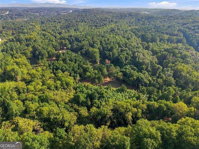 283 Leo Taylor Lane, Ball Ground, GA 30107
