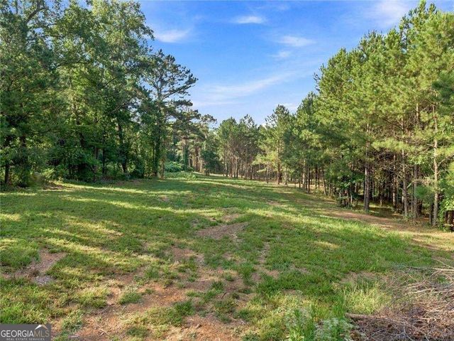 283 Leo Taylor Lane, Ball Ground, GA 30107