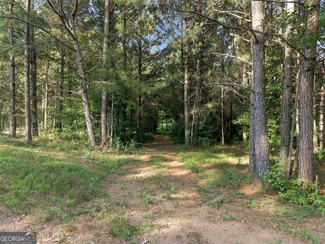 283 Leo Taylor Lane, Ball Ground, GA 30107