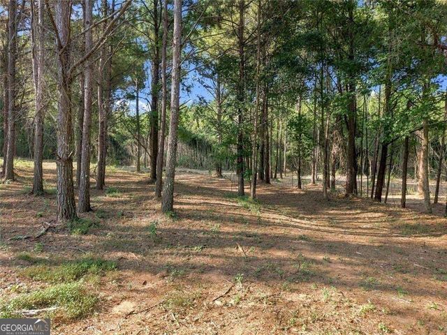 283 Leo Taylor Lane, Ball Ground, GA 30107