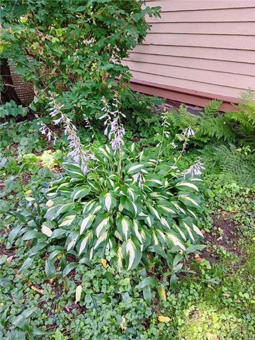 44 Elm Street, Oneonta, NY 13820