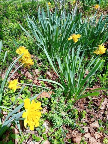 44 Elm Street, Oneonta, NY 13820