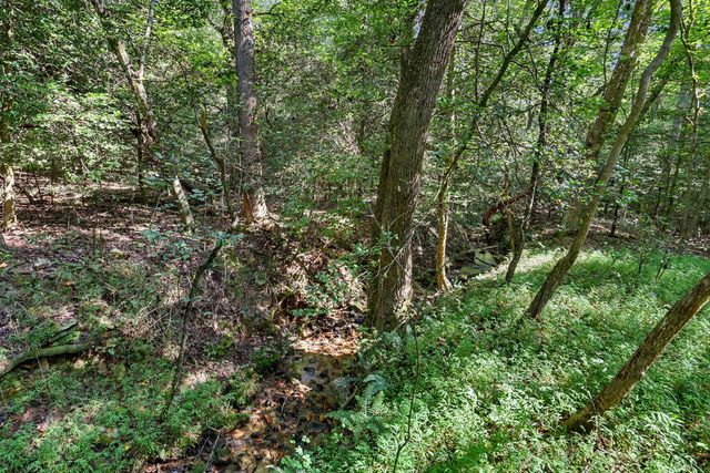 2824 Pat Colwell Road, Blairsville, GA 30512