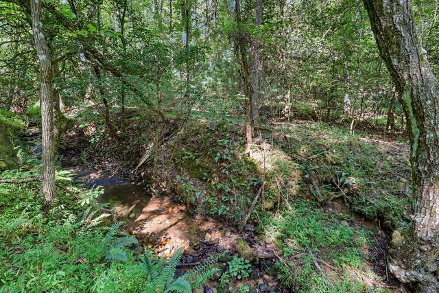 2824 Pat Colwell Road, Blairsville, GA 30512