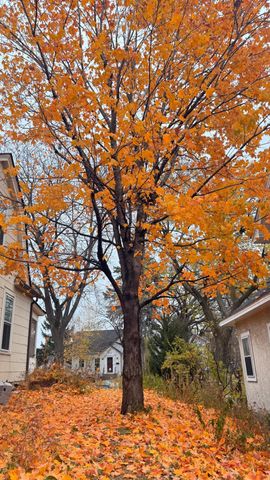 4506 Wentworth Avenue, Minneapolis, MN 55419