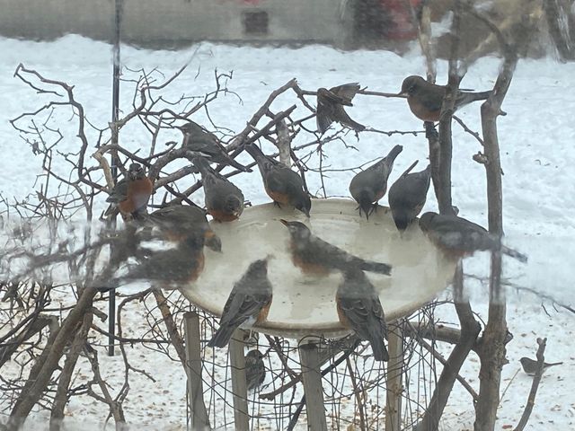 4506 Wentworth Avenue, Minneapolis, MN 55419