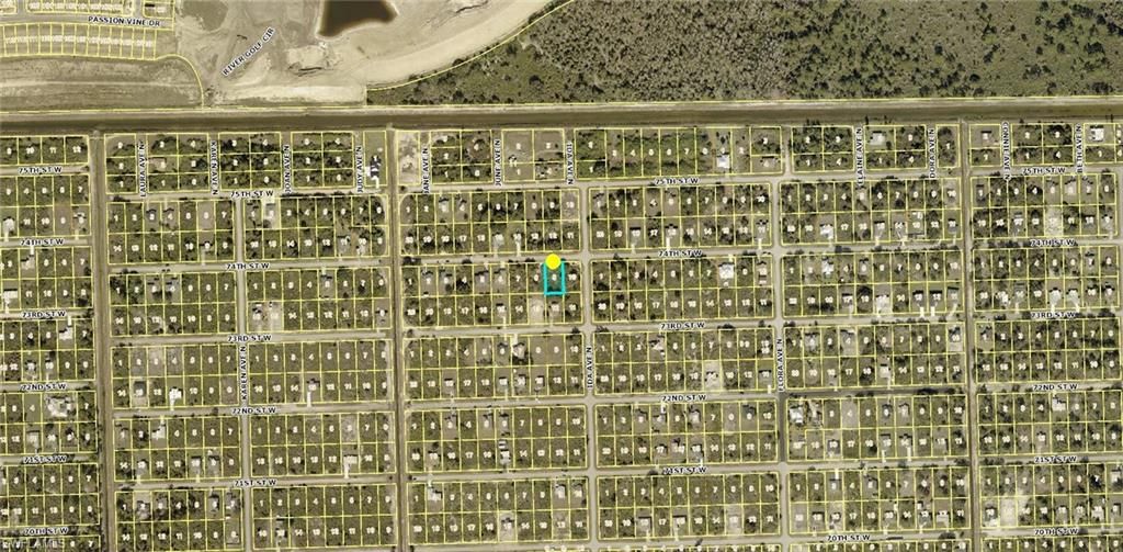 2803 74th ST W, LEHIGH ACRES, FL 33971 — photo 3