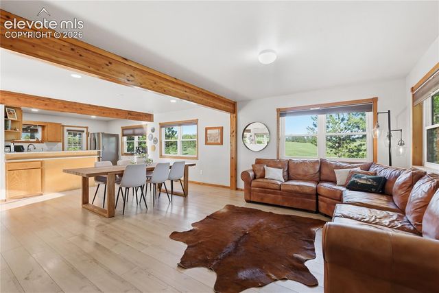 2134 Homestake Place, Lake George, CO 80827