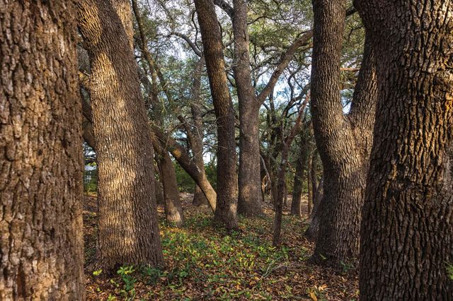 6729 US HWY 281 Highway, Lampasas, TX 76550