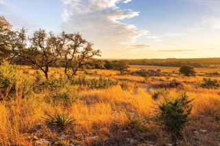 6729 US HWY 281 Highway, Lampasas, TX 76550