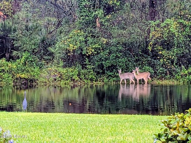 2900 Cypress Ridge Trail, Port Orange, FL 32128