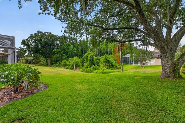 17820 OSPREY POINTE PLACE, Tampa, FL 33647
