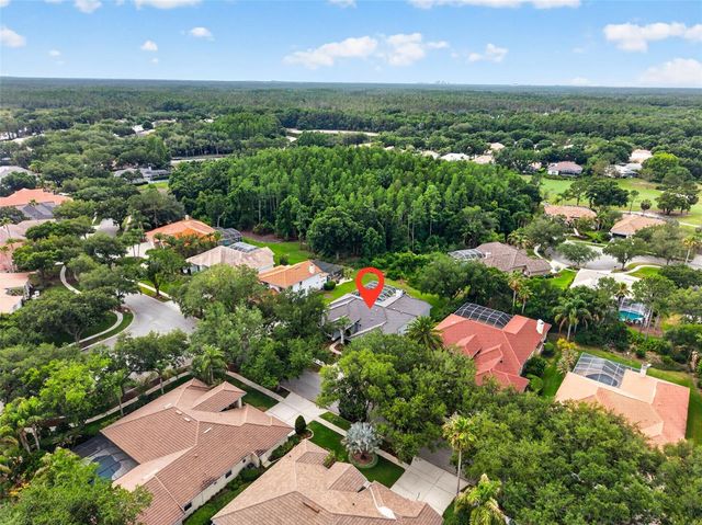 17820 OSPREY POINTE PLACE, Tampa, FL 33647