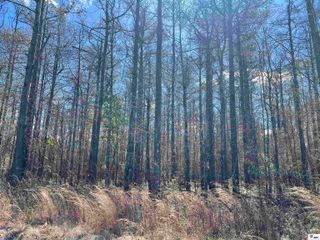 00 CARROLL ROAD, Oak Grove, LA 71263
