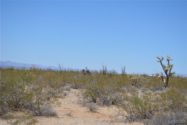 Lot 205 S Cortaro Road, Yucca, AZ 86438